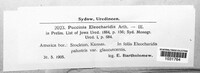 Image Associated With the Occurence